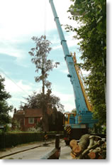 Mobile Crane Hire